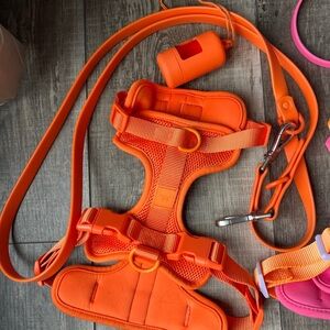 Wild One Dog Harness and Leash Bundle